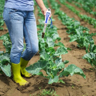 Woman use digital soil meter in the soil. Cabbage plants.
